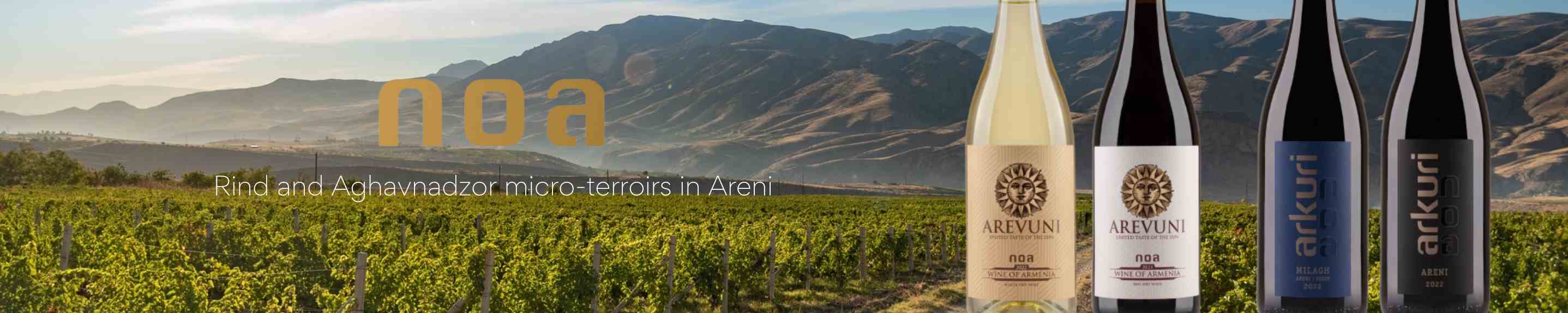 Noa Wines